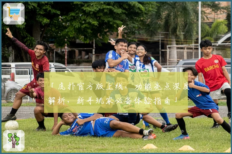 「虎扑官方版上线，功能亮点深度解析，新手玩家必备体验指南」