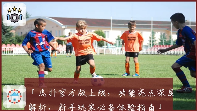 「虎扑官方版上线，功能亮点深度解析，新手玩家必备体验指南」